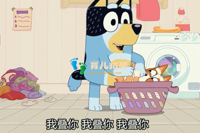 班迪