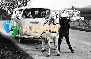 凯迪拉克效应：忽略孩子的内驱力，即使累死也养不出好孩子