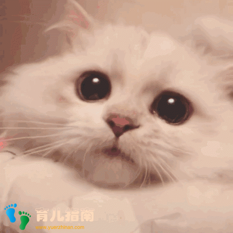 酸奶
