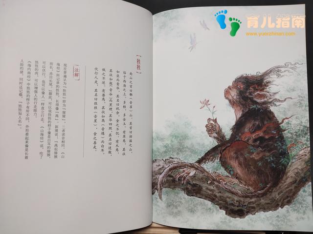 你今天真好看 你今天真好看