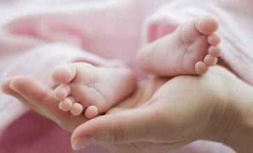 运动神经 运动神经