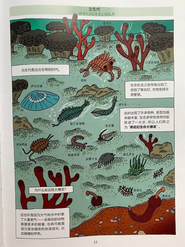 生命进化史 生命进化史