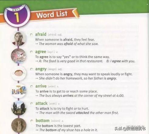 阅读理解 阅读理解