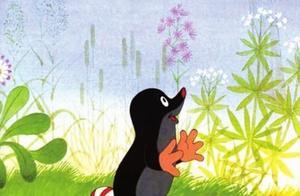 道德发展阶段论：皮亚杰的对偶故事法和科尔伯格的道德两难故事法