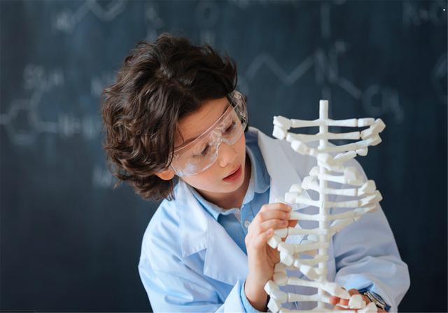 学习能力 学习能力