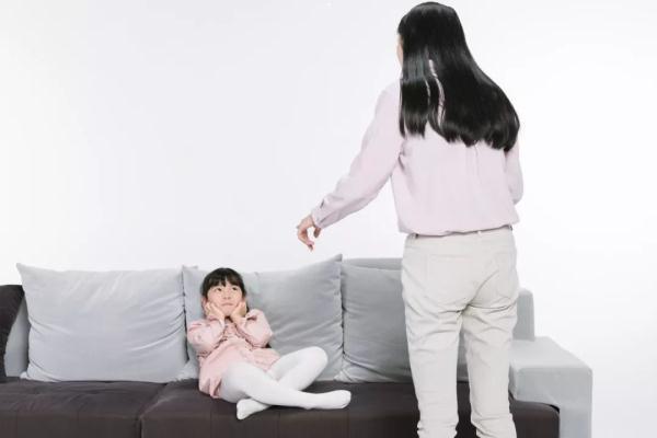 李玫瑾教授 李玫瑾教授