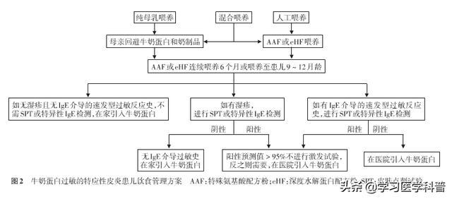 儿童特应性皮炎（AD）食物过敏的管理