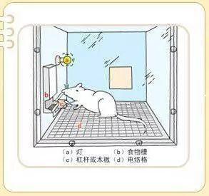 负面反馈 负面反馈