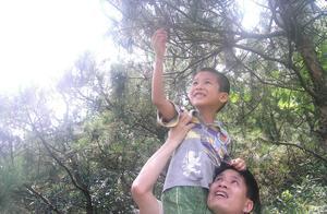 伪单亲家庭，希望你们不是下一个