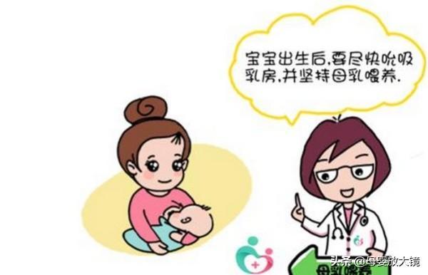 食物过敏 食物过敏