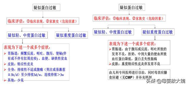 免疫系统 免疫系统