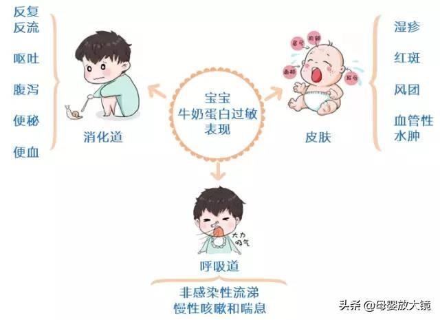 免疫系统 免疫系统