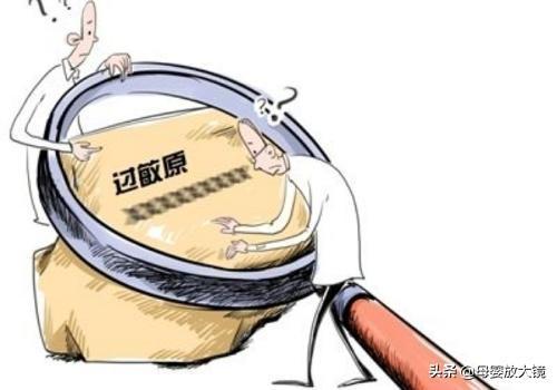 免疫系统 免疫系统