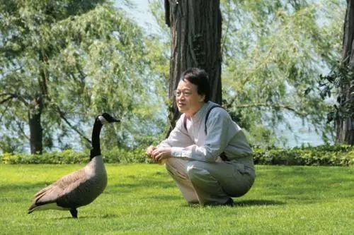 刘墉：孙子、孙女是“别人”的孩子！这位睿智老人如何做爷爷？
