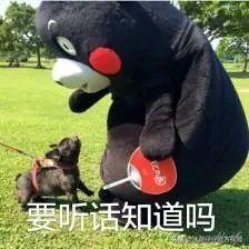 活动 活动