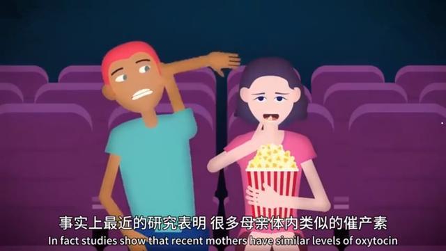 啮齿动物 啮齿动物