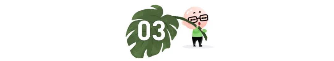 语言 语言