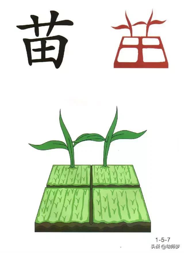 看图识字
