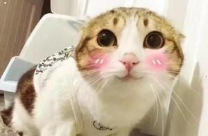 温暖的心 温暖的秋天