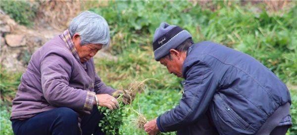 无后为大 无后为大