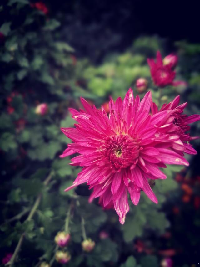 摄于人民公园摄于人民公园摄于 摄于人民公园摄于人民公园摄于