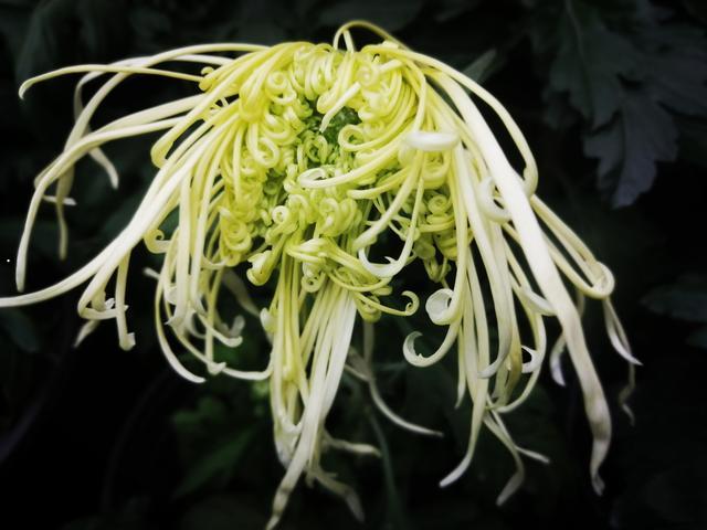 摄于人民公园摄于人民公园摄于 摄于人民公园摄于人民公园摄于