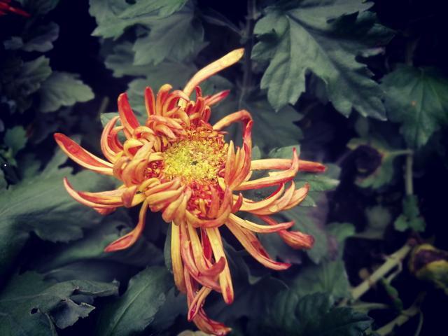 摄于人民公园摄于人民公园摄于 摄于人民公园摄于人民公园摄于