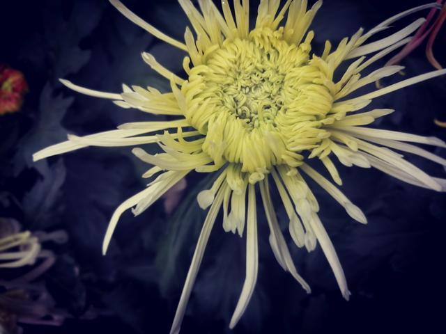 摄于人民公园摄于人民公园摄于 摄于人民公园摄于人民公园摄于