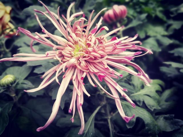 人民公园摄于人民公园摄于人民公园 人民公园摄于人民公园摄于人民公园