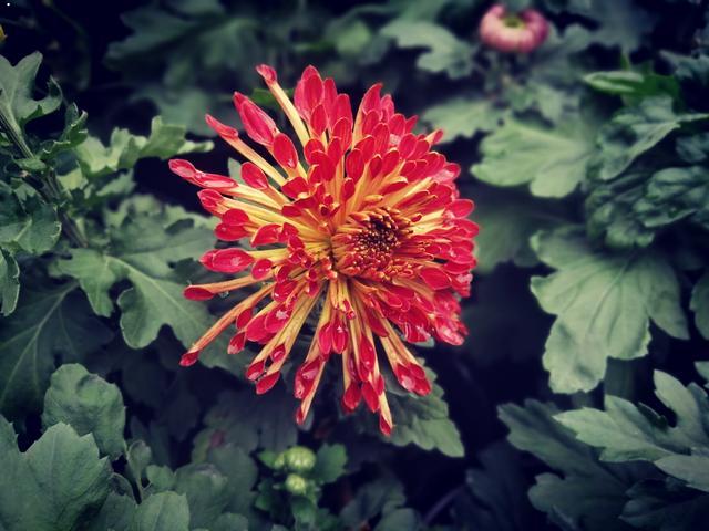 人民公园摄于人民公园摄于人民公园 人民公园摄于人民公园摄于人民公园