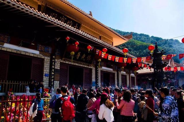 细菌病毒 细菌病毒