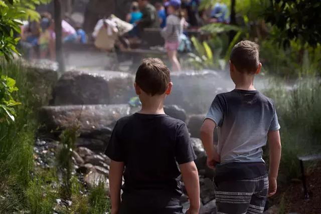 森林法则 森林法则