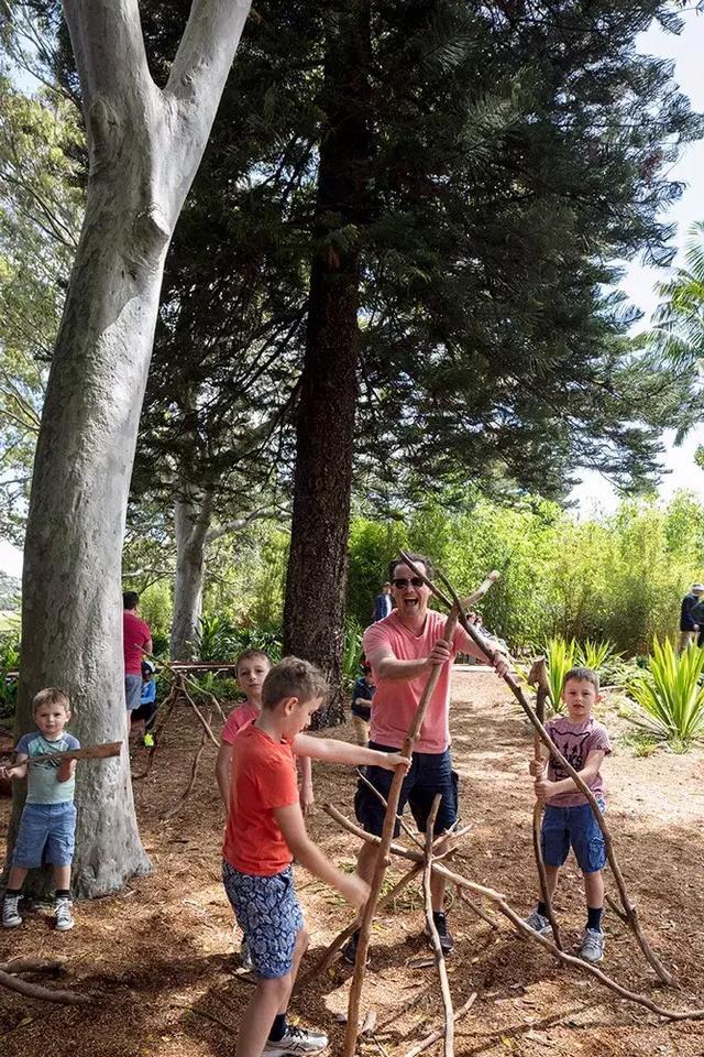 森林法则 森林法则