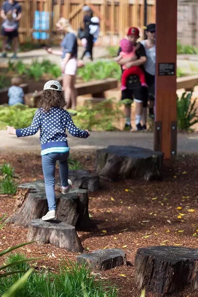 森林法则 森林法则