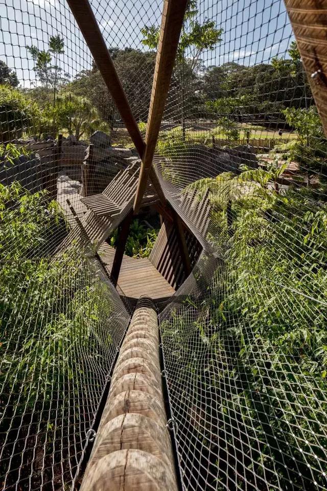 森林法则 森林法则