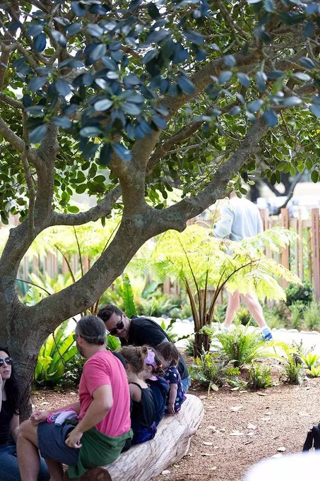 森林法则 森林法则