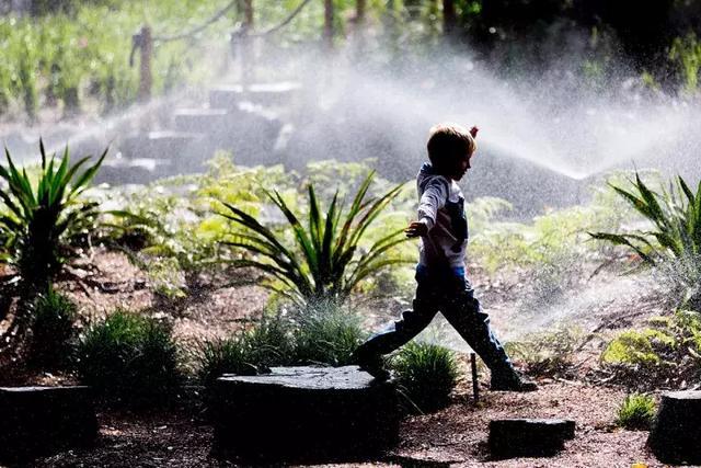 森林法则 森林法则