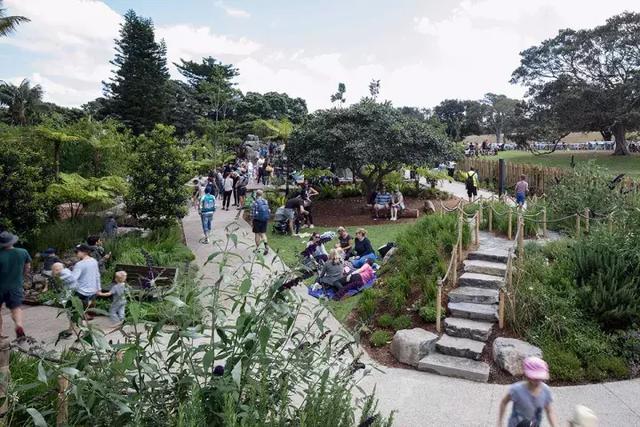 森林法则 森林法则