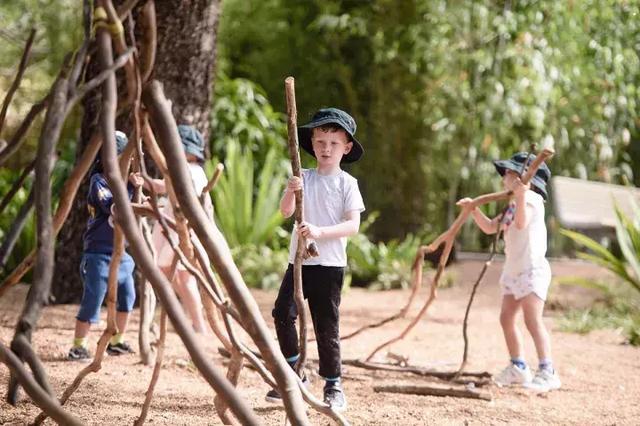 森林法则 森林法则