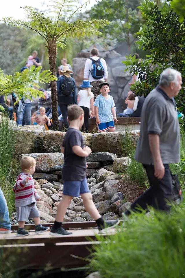 森林法则 森林法则