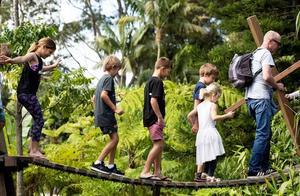 森林法则 森林法则