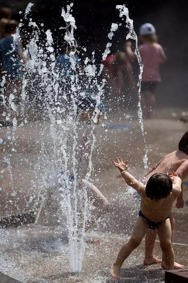 森林法则 森林法则