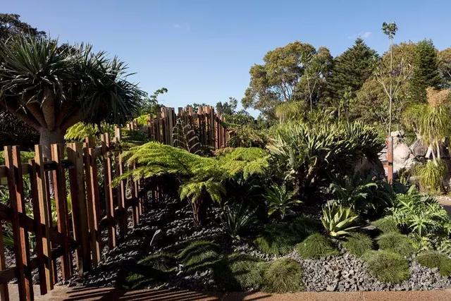 森林法则 森林法则