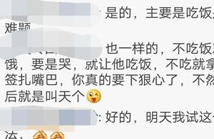 孩子不好好吃饭别逼迫，做好这几点，轻松养出小吃货
