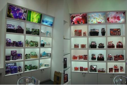 青蛙王子 青蛙王子