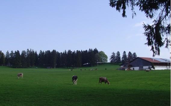 风险点定义 风险点定义