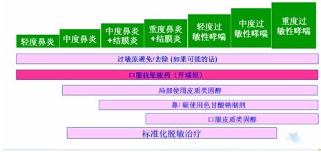 过敏性鼻炎常备药口服 过敏性鼻炎常备药口服