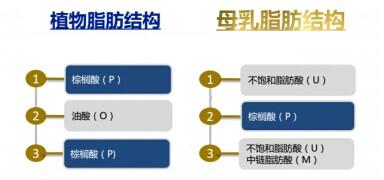 有机奶粉含OPO吗 有机奶粉含OPO吗