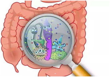 孩子肠道菌群失调的症状 孩子肠道菌群失调的症状