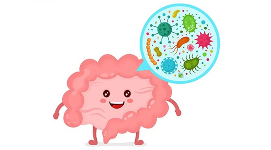 妈妈帮益生菌好不好